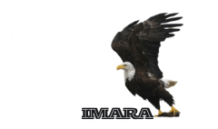 SIR THEON UWAYEZU IMARA